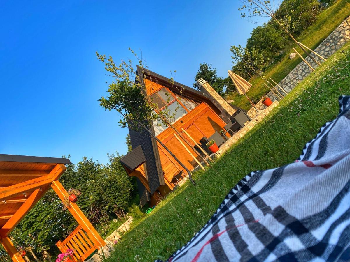 Albero Casa Villa Cetinje Dış mekan fotoğraf