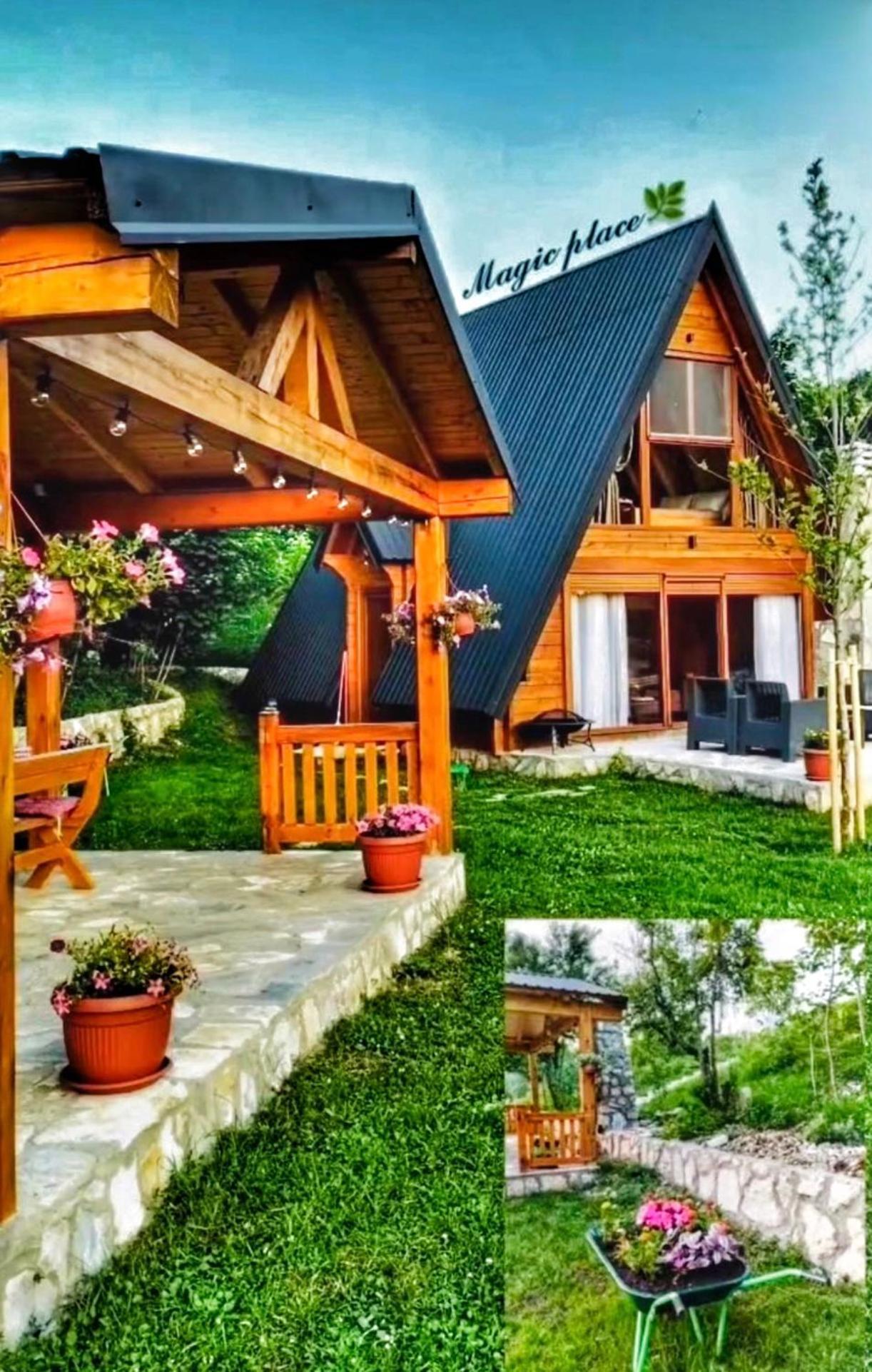 Albero Casa Villa Cetinje Dış mekan fotoğraf