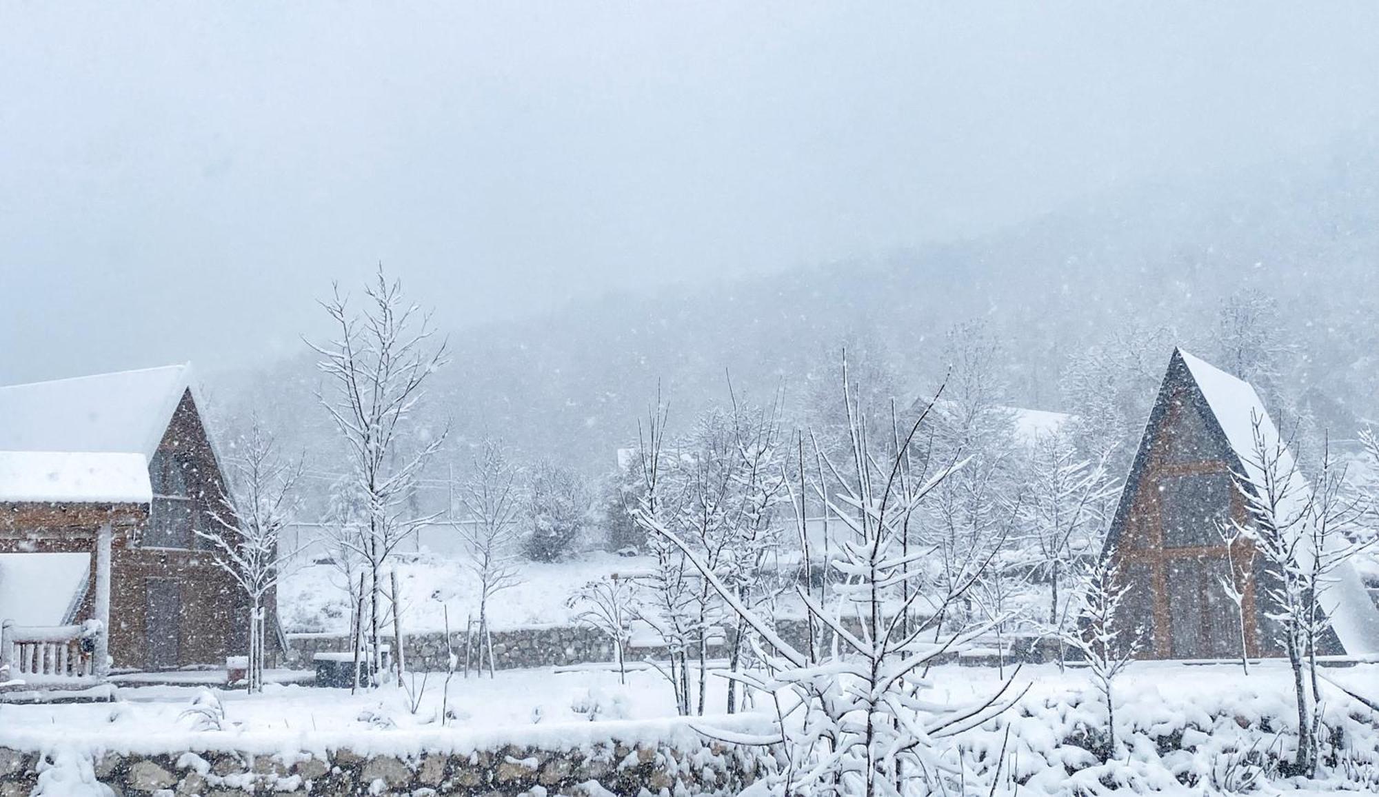 Albero Casa Villa Cetinje Dış mekan fotoğraf