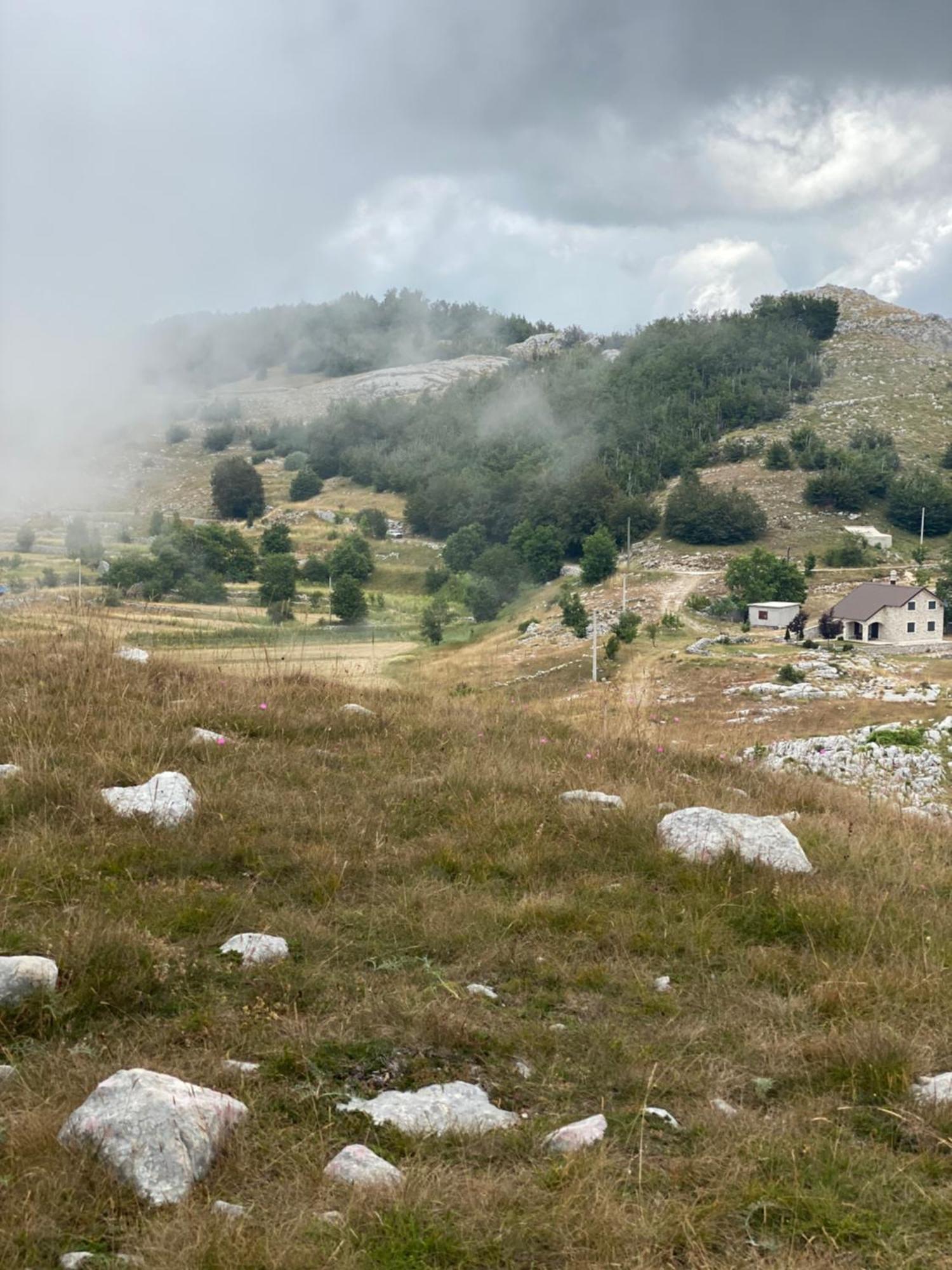 Albero Casa Villa Cetinje Dış mekan fotoğraf