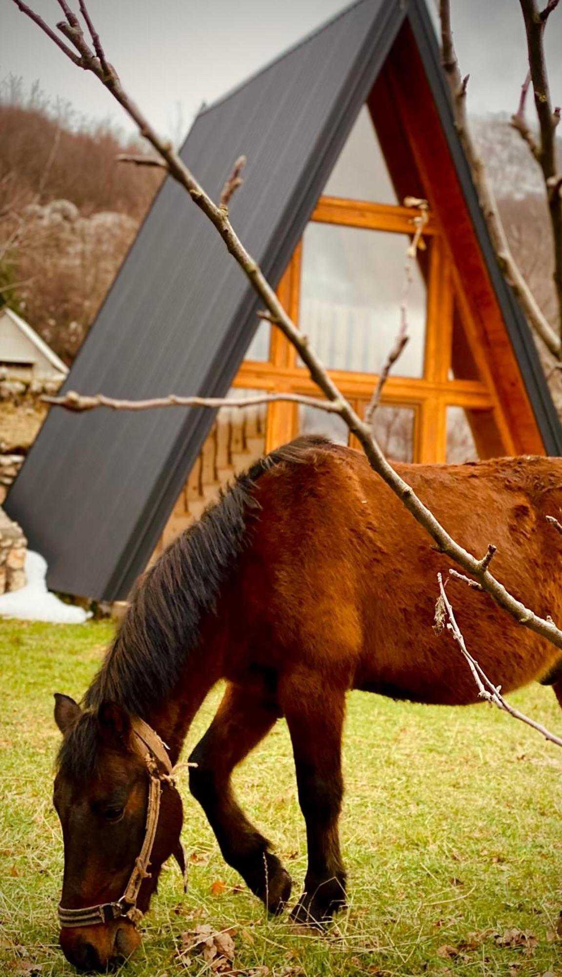 Albero Casa Villa Cetinje Dış mekan fotoğraf