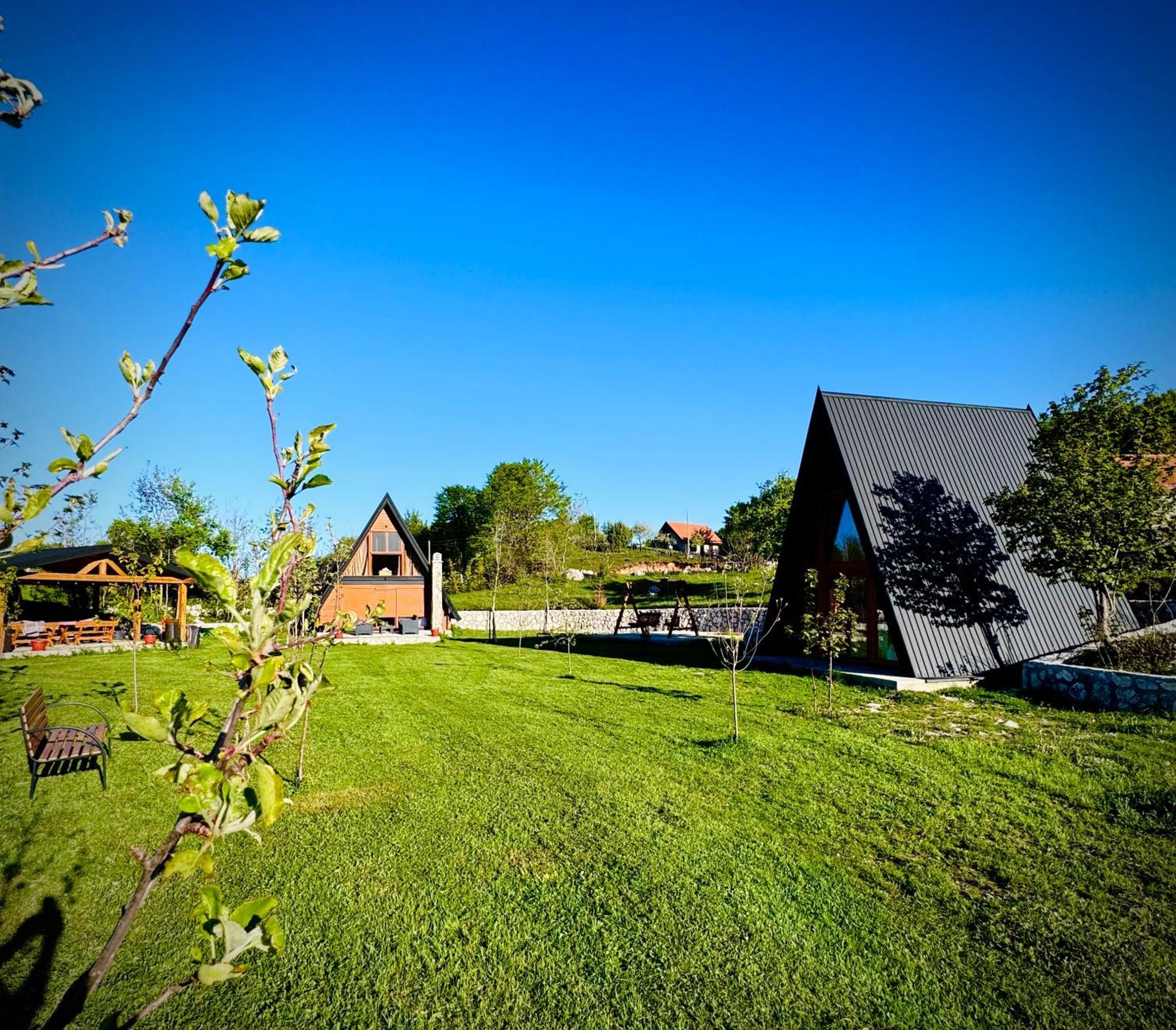 Albero Casa Villa Cetinje Dış mekan fotoğraf