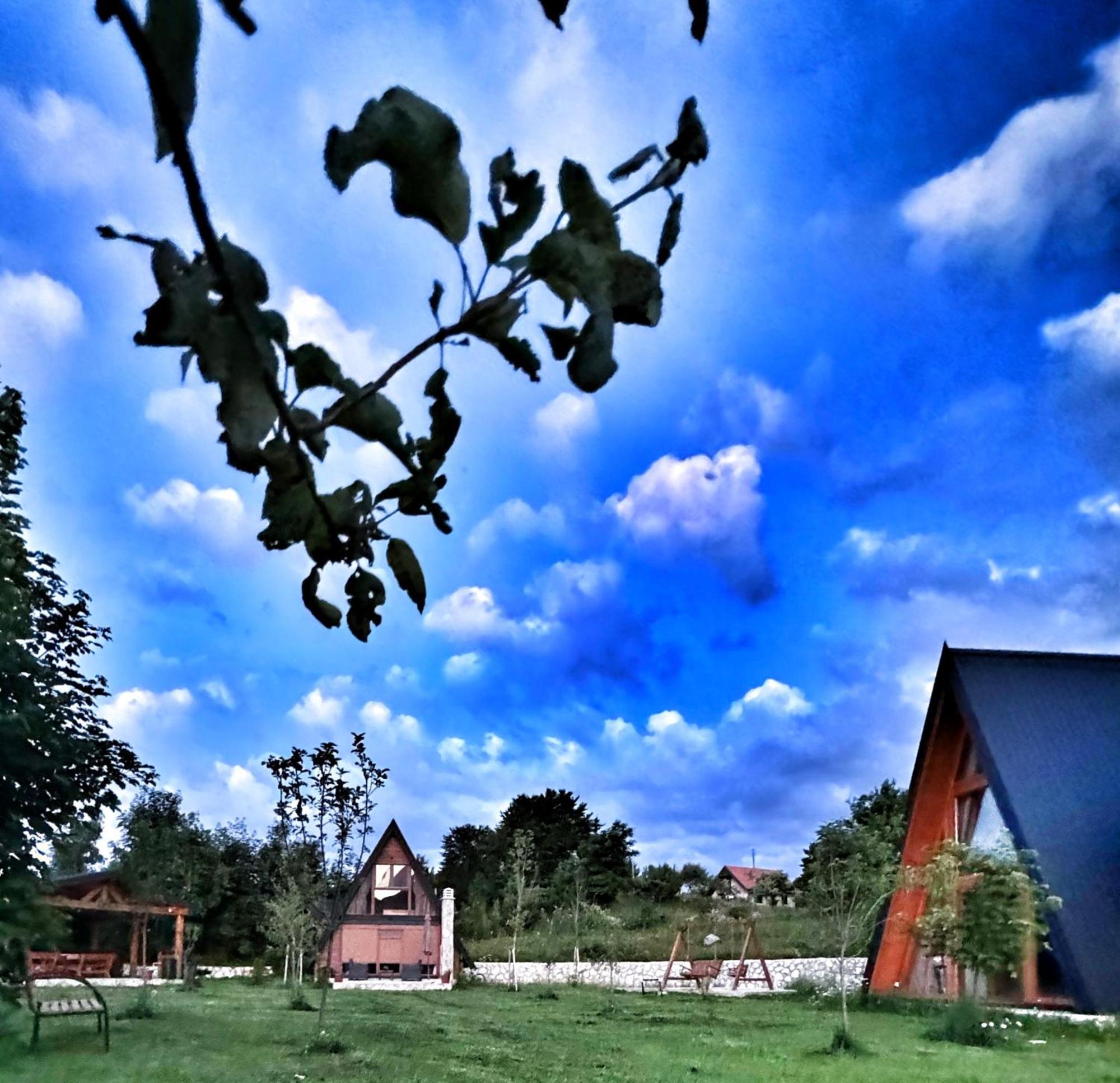 Albero Casa Villa Cetinje Dış mekan fotoğraf