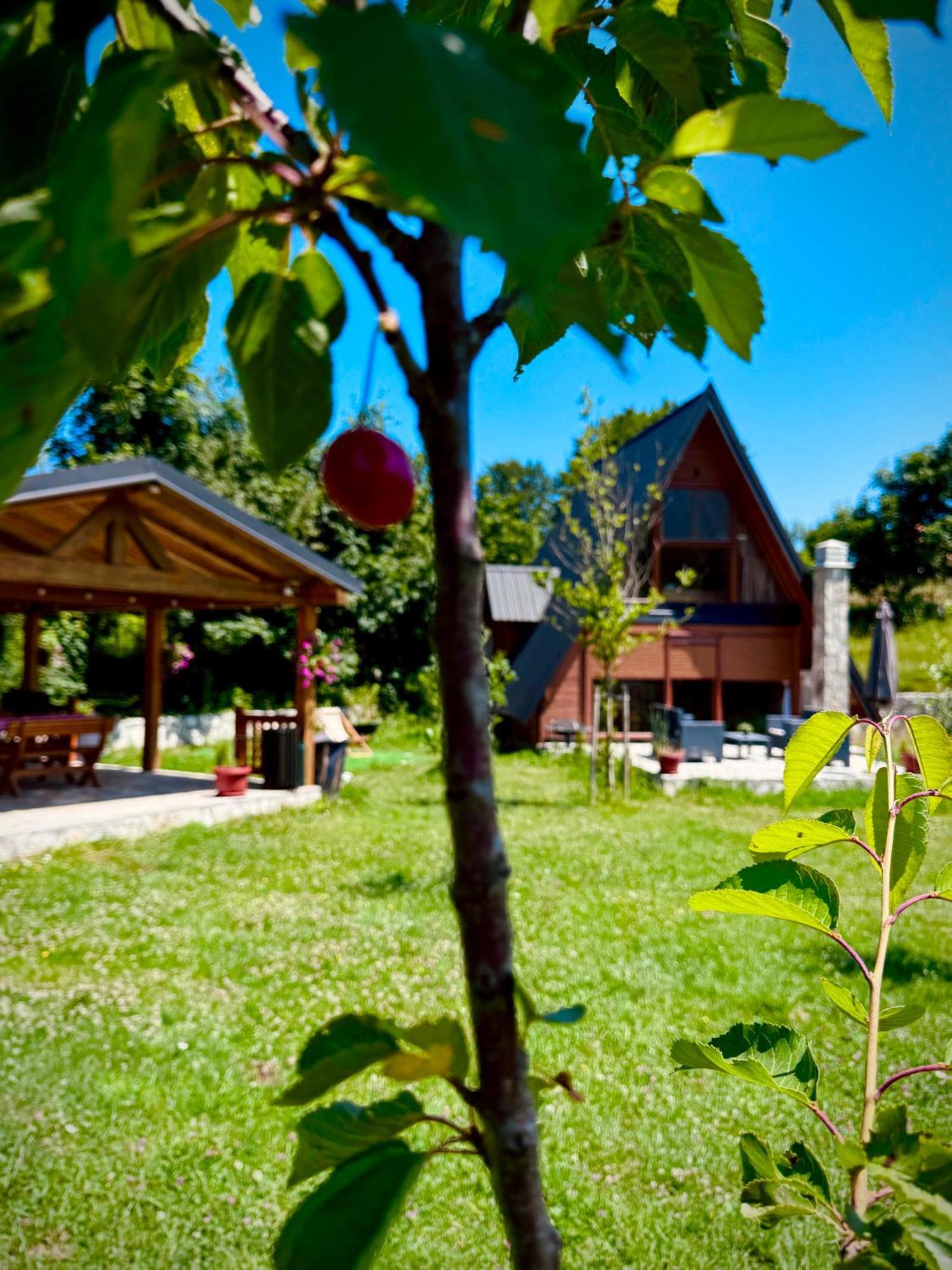 Albero Casa Villa Cetinje Dış mekan fotoğraf