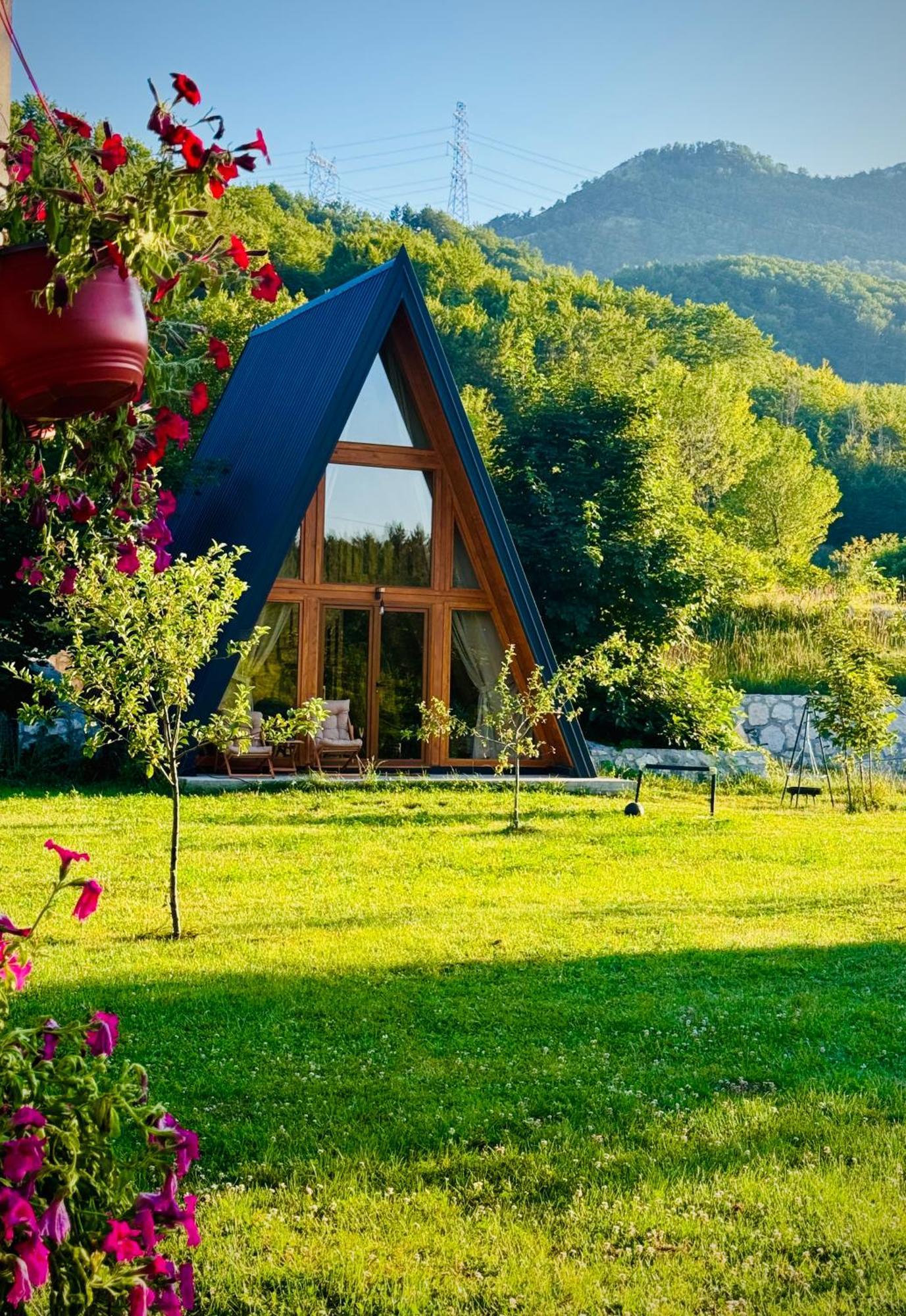 Albero Casa Villa Cetinje Dış mekan fotoğraf