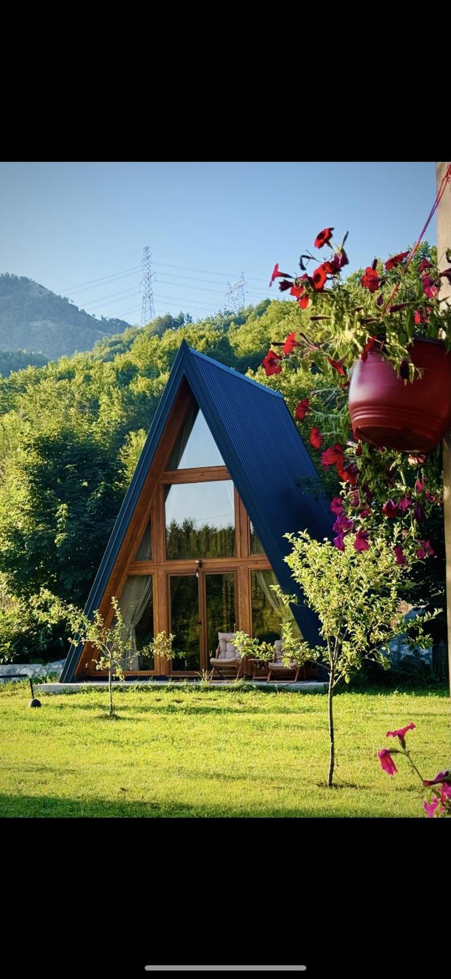 Albero Casa Villa Cetinje Dış mekan fotoğraf
